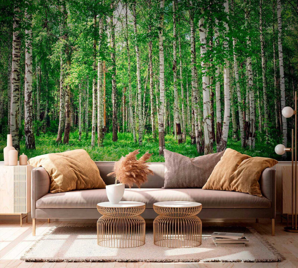 Berkenstammen boven groen gras — interieur 4