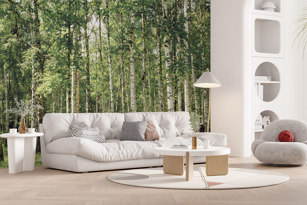 Berkenstammen boven groen gras — interieur 12