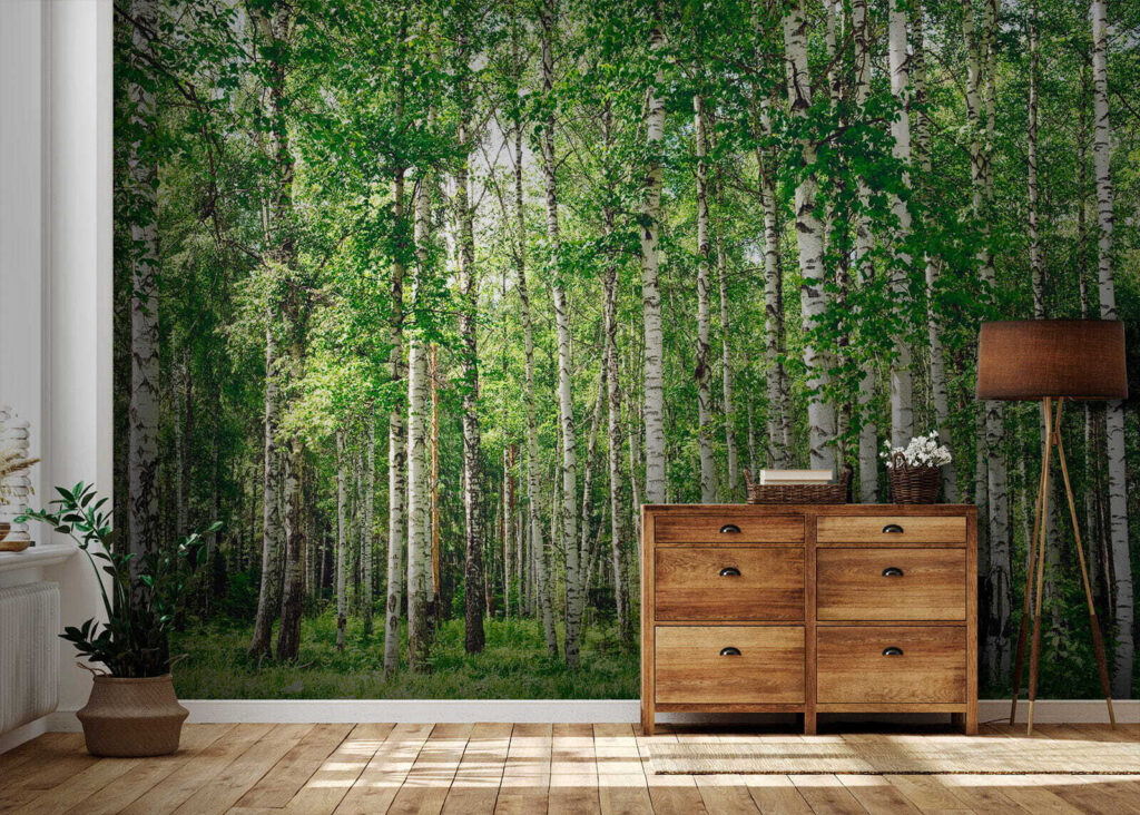 Berkenstammen boven groen gras — interieur 5