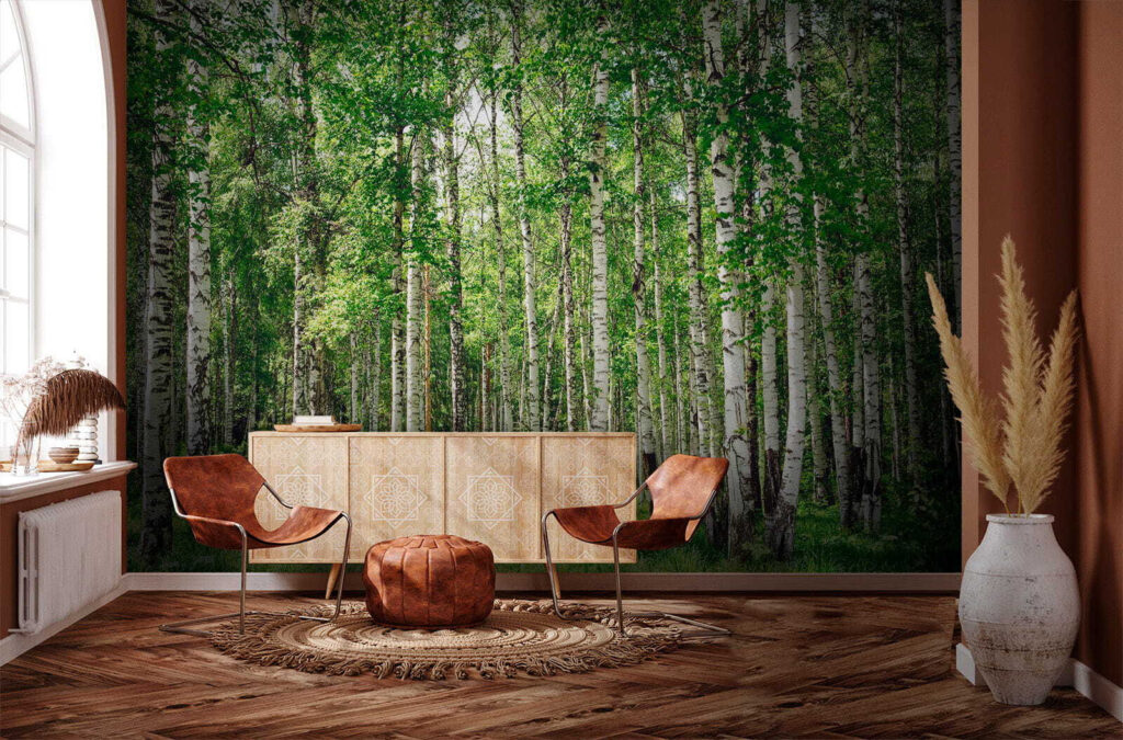 Berkenstammen boven groen gras — interieur 6