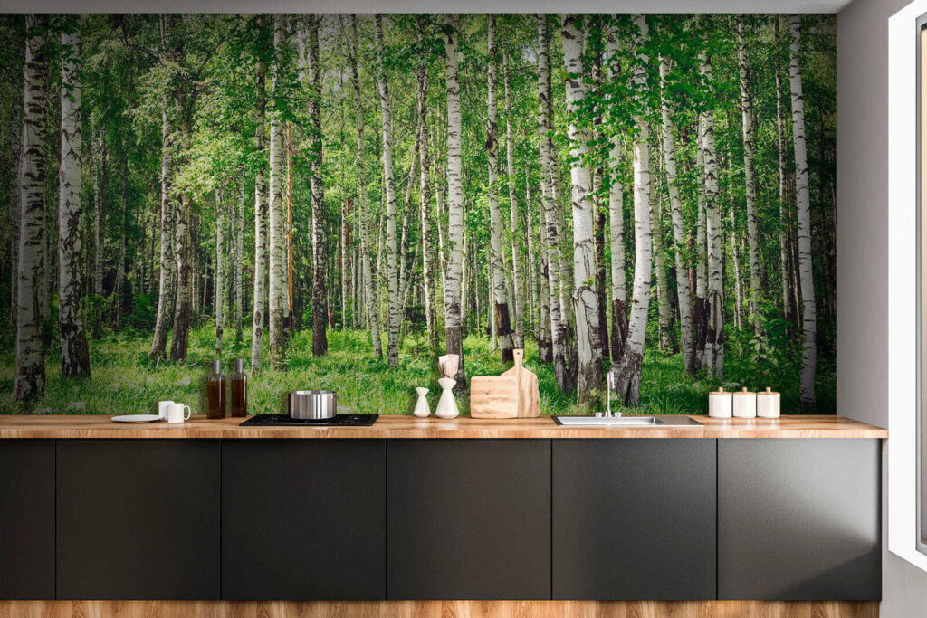 Berkenstammen boven groen gras — interieur 7