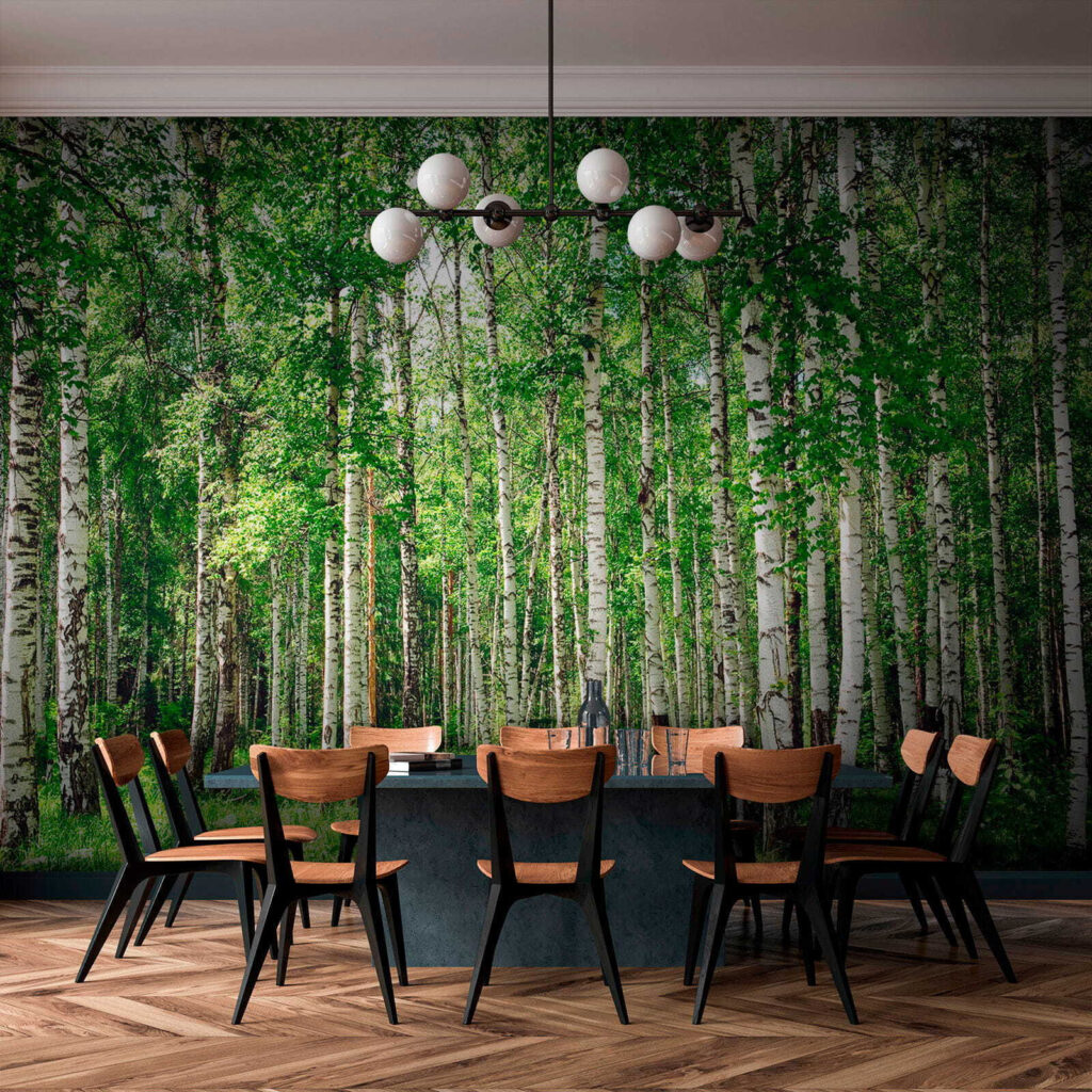 Berkenstammen boven groen gras — interieur 8