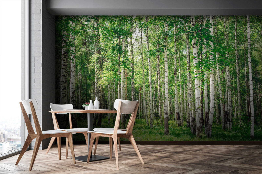 Berkenstammen boven groen gras — interieur 10