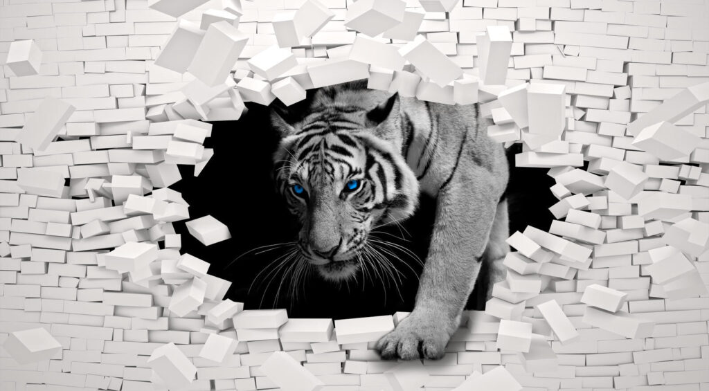 Witte tijger door baksteen — volledig ontwerp