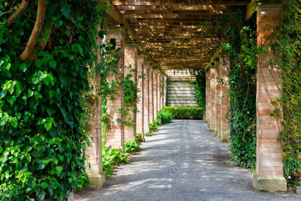 Pad onder begroeide pergola — volledig ontwerp
