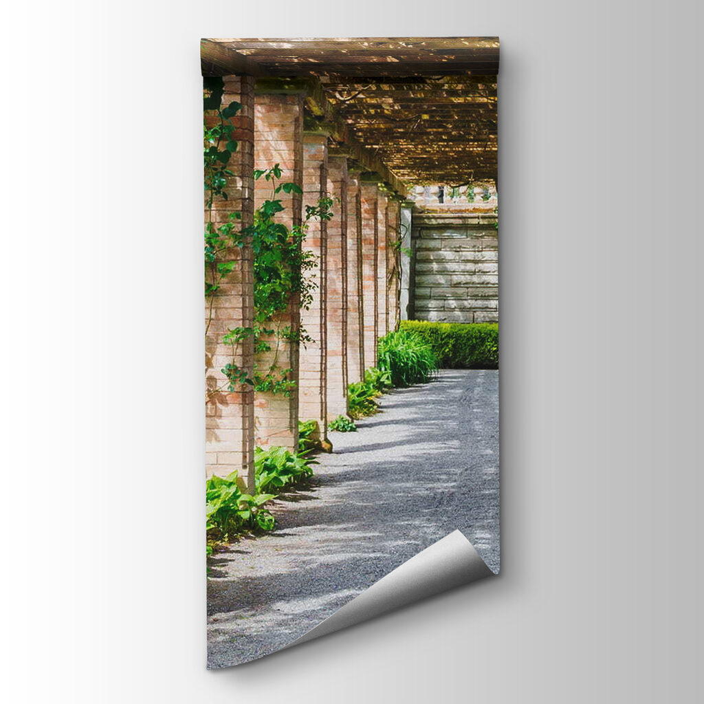 Pad onder begroeide pergola — productweergave