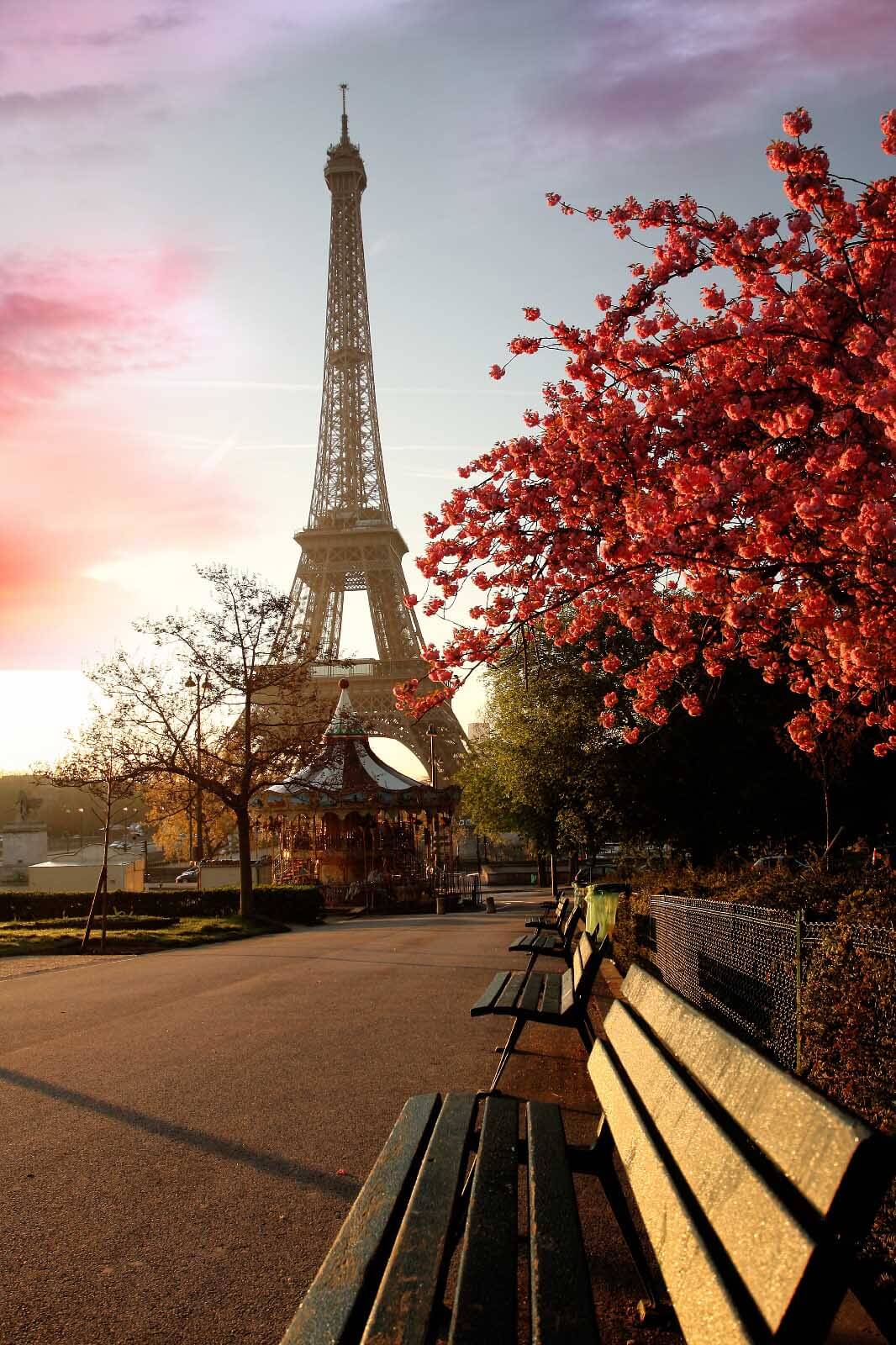 Eiffeltoren naast rode herfstboom — volledig ontwerp