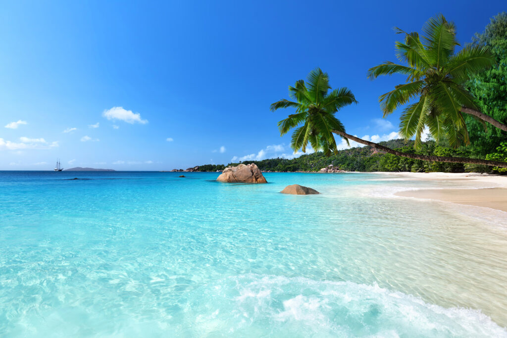 Strand met palmbomen en blauw water — volledig ontwerp