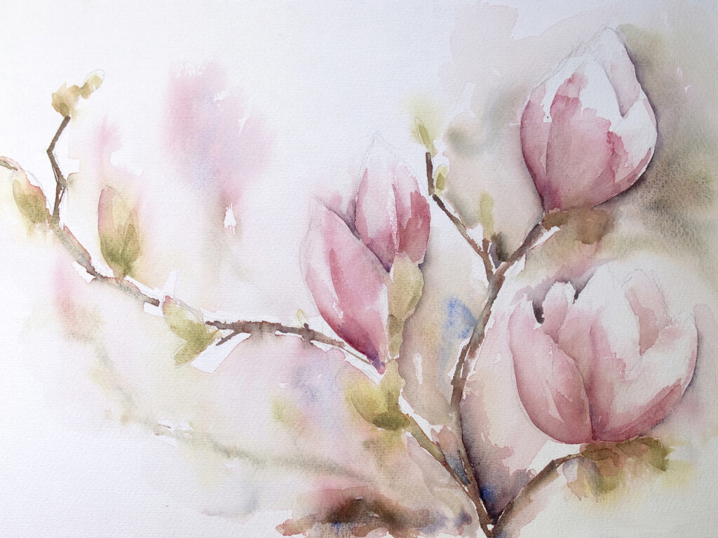 Magnolia in roze aquarel — volledig ontwerp