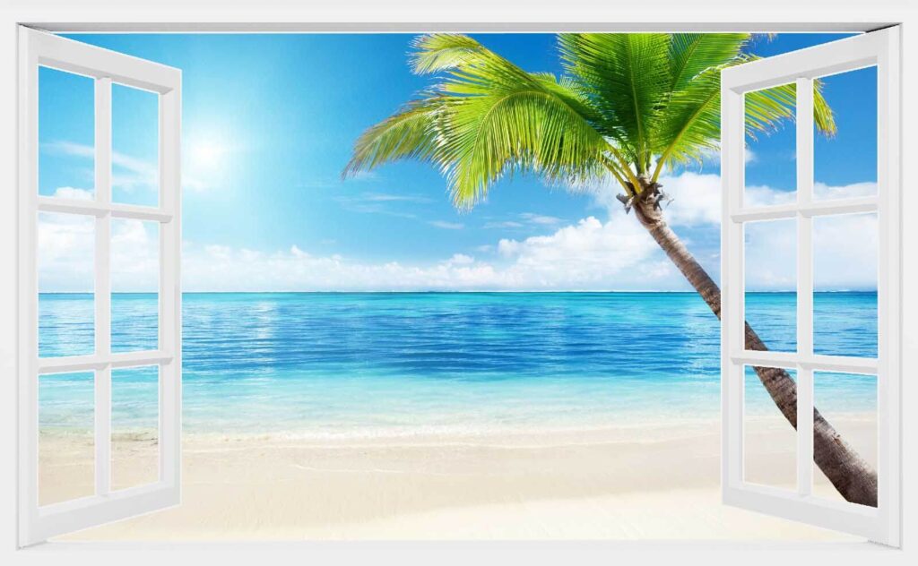 Strandpalm door open raam — volledig ontwerp