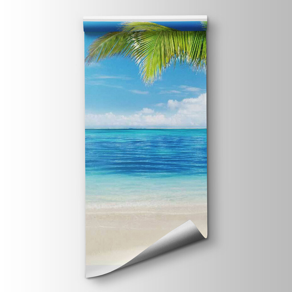 Strandpalm door open raam — productweergave