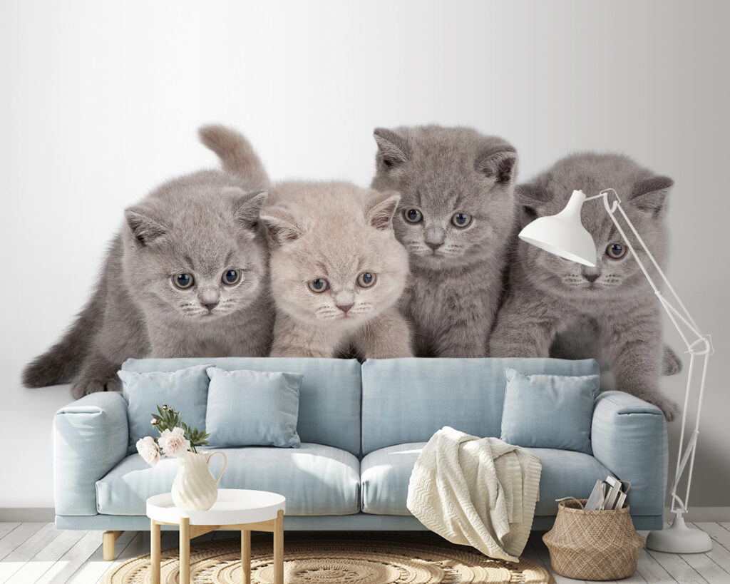 Groep kittens bij elkaar in een interieur