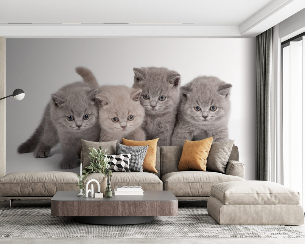 Groep kittens bij elkaar — interieur 2