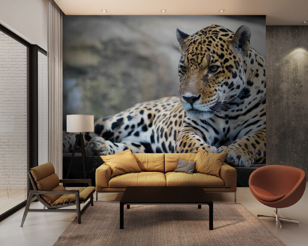 Gevlekte kat op rotsrand — interieur 1