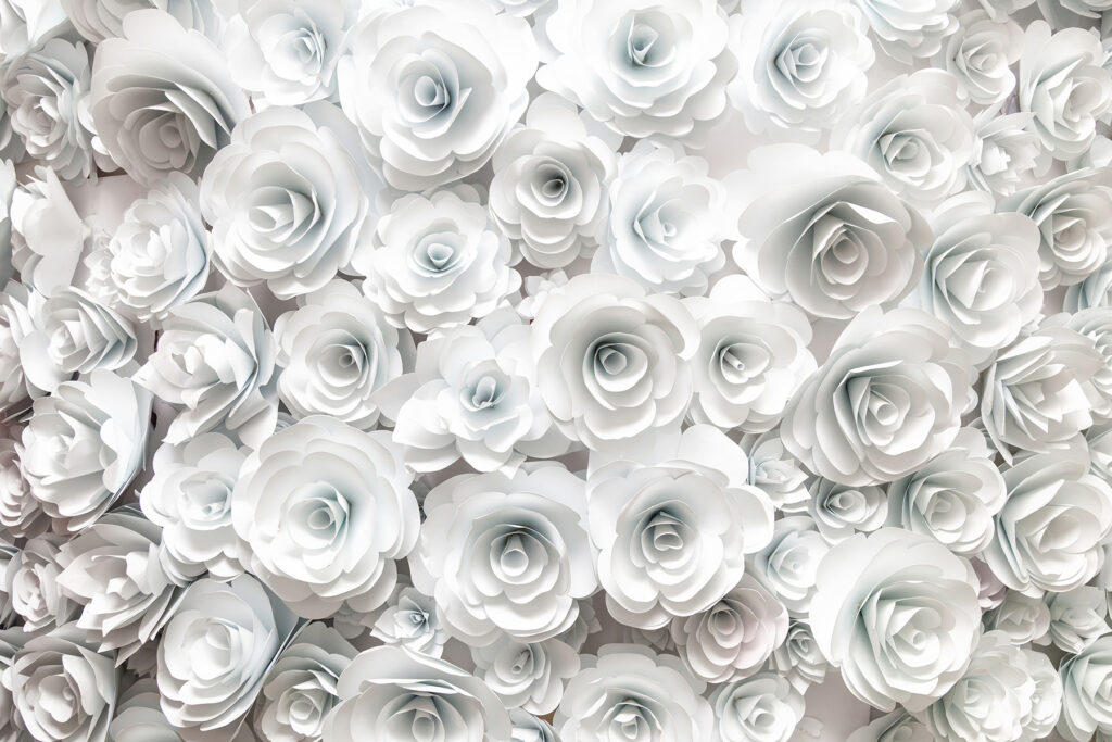 Witte rozen, dicht opeen — volledig ontwerp