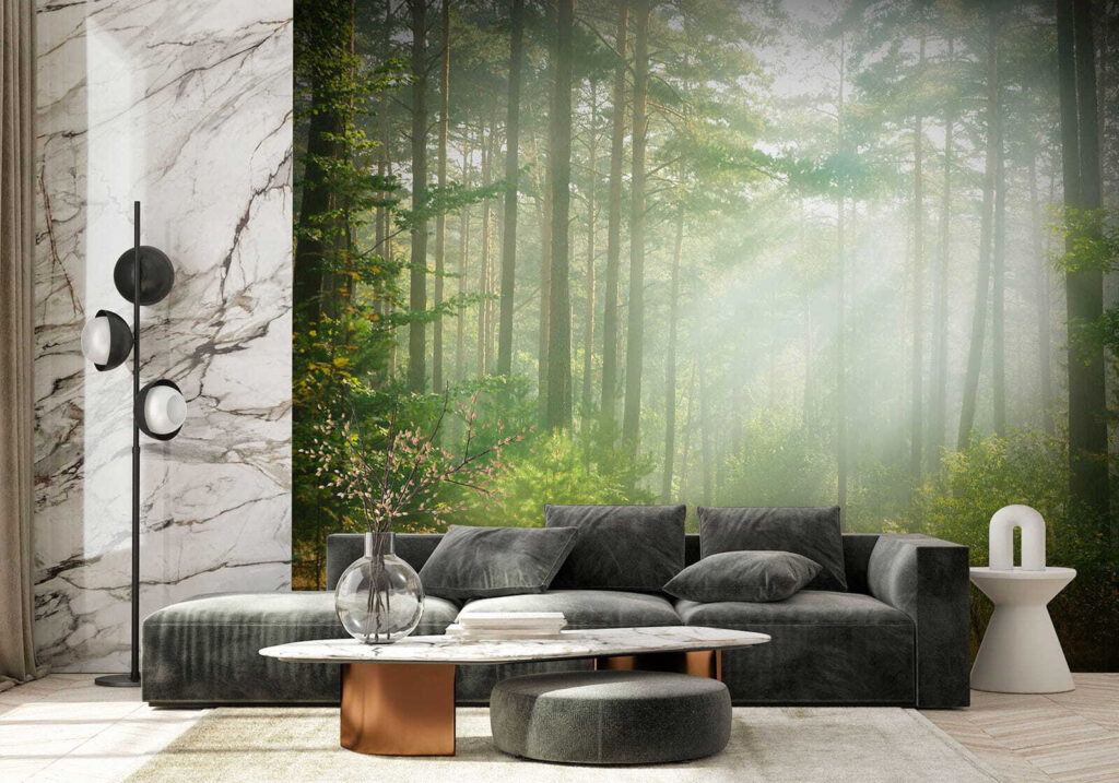 Lichtbundels tussen hoge bosstammen — interieur 7
