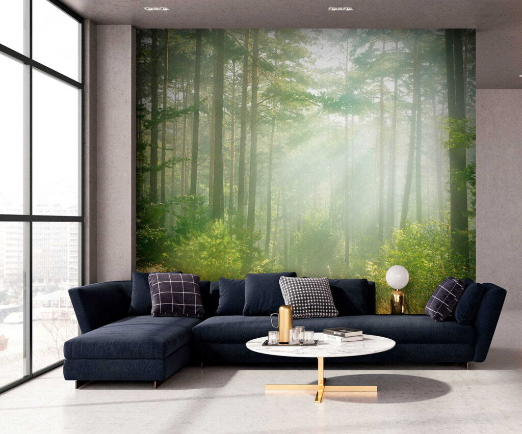 Lichtbundels tussen hoge bosstammen — interieur 8