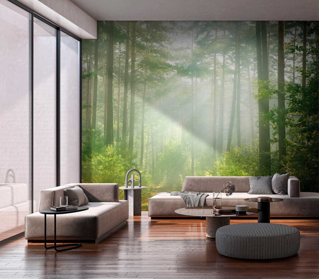 Lichtbundels tussen hoge bosstammen — interieur 9