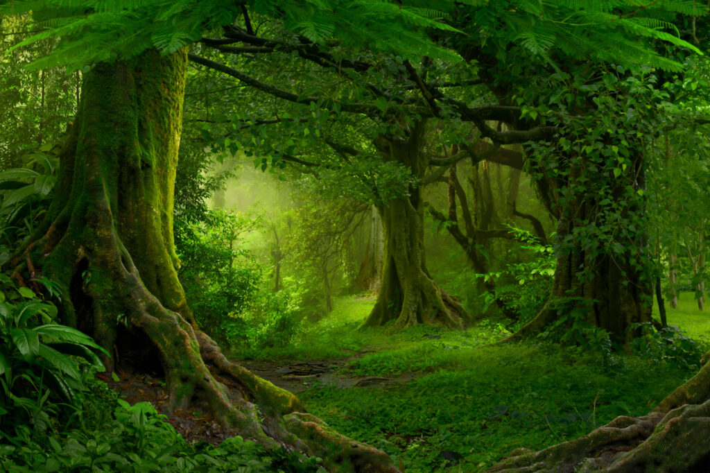 Groen bos met boomwortels — volledig ontwerp
