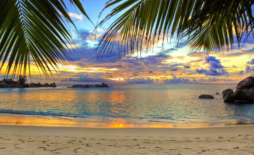 Strand met palmbomen en water — volledig ontwerp
