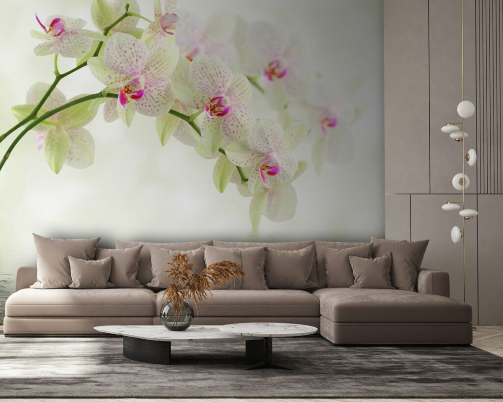 Lichte orchidee boven waterrimpels — interieur 4