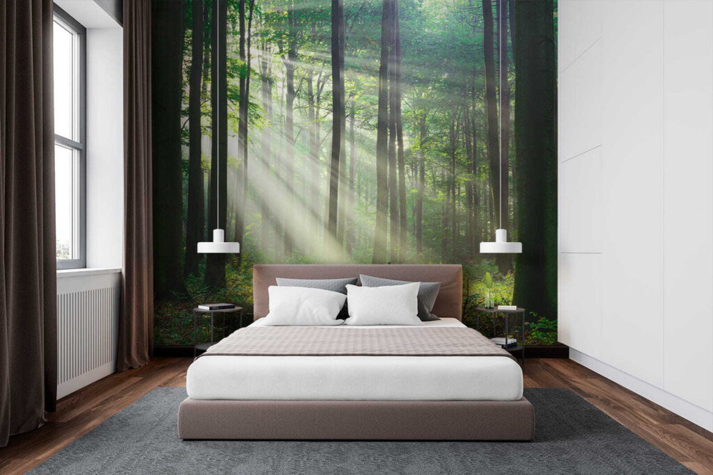 Boslicht door rechte stammen — interieur 2