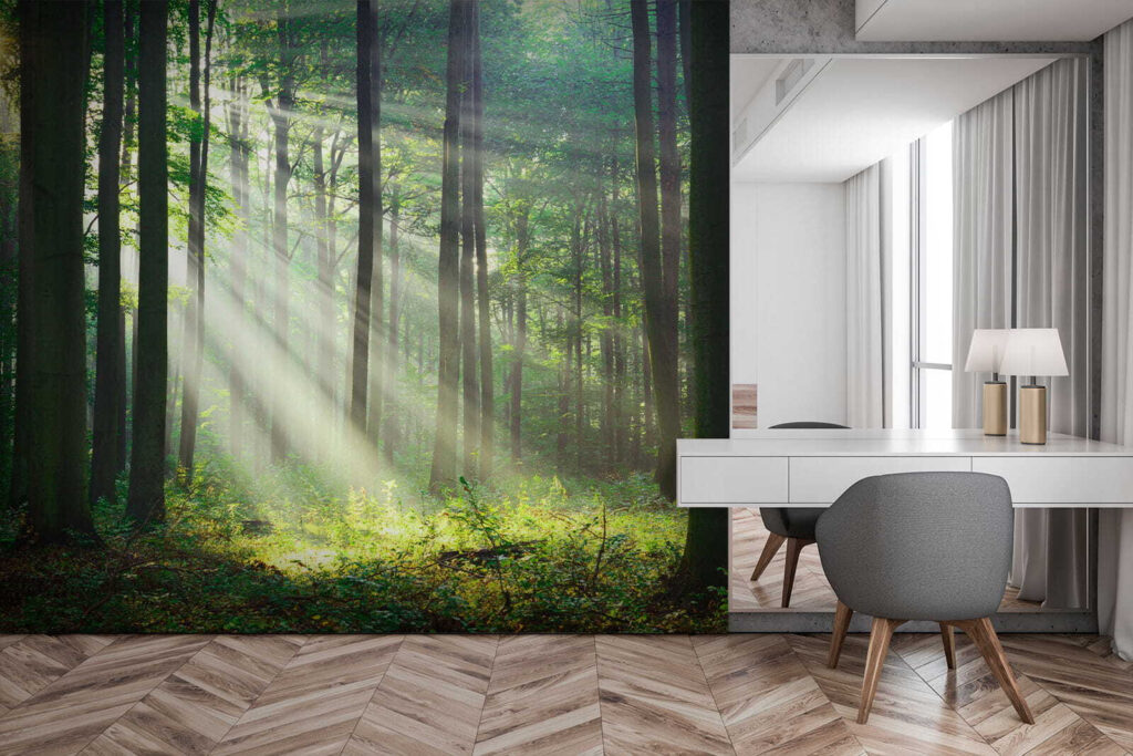 Boslicht door rechte stammen — interieur 1