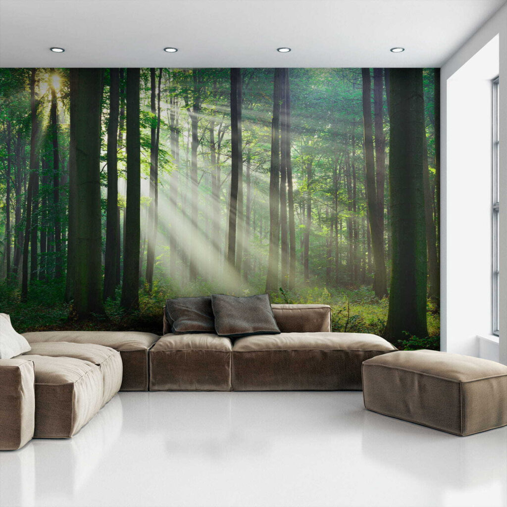 Boslicht door rechte stammen — interieur 4