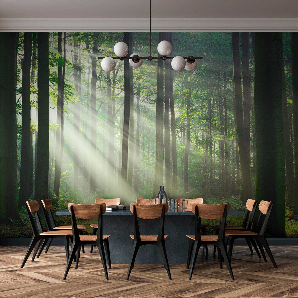 Boslicht door rechte stammen — interieur 11