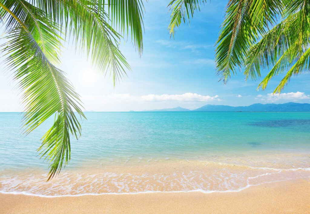 Strand met palmbomen en blauw water — volledig ontwerp