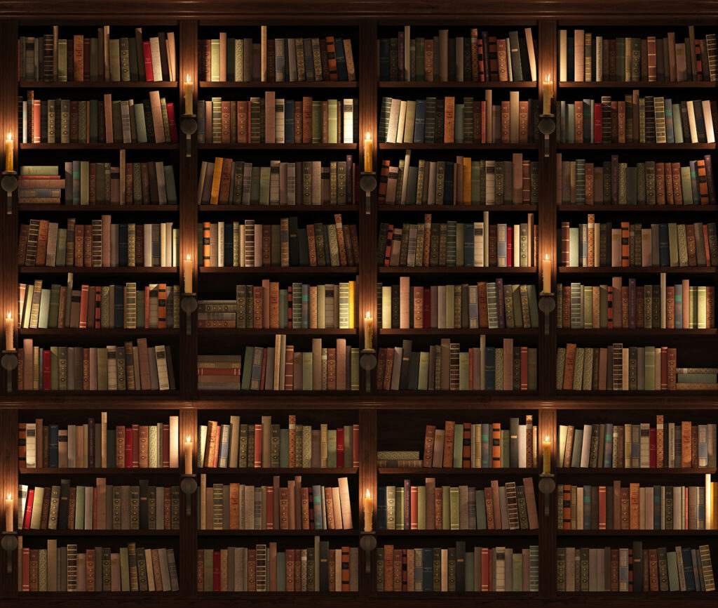 Grote boekenkast vol boeken — volledig ontwerp