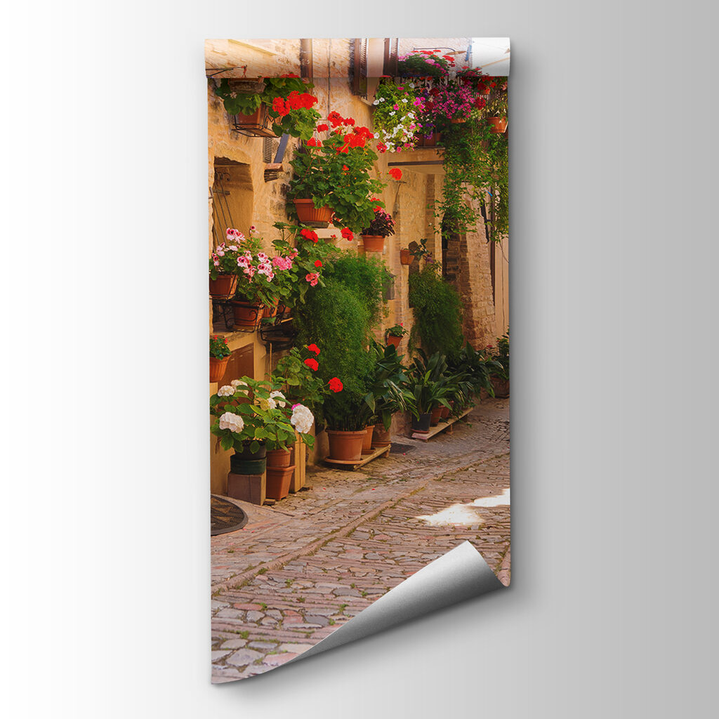 Smalle straat vol bloempotten — productweergave