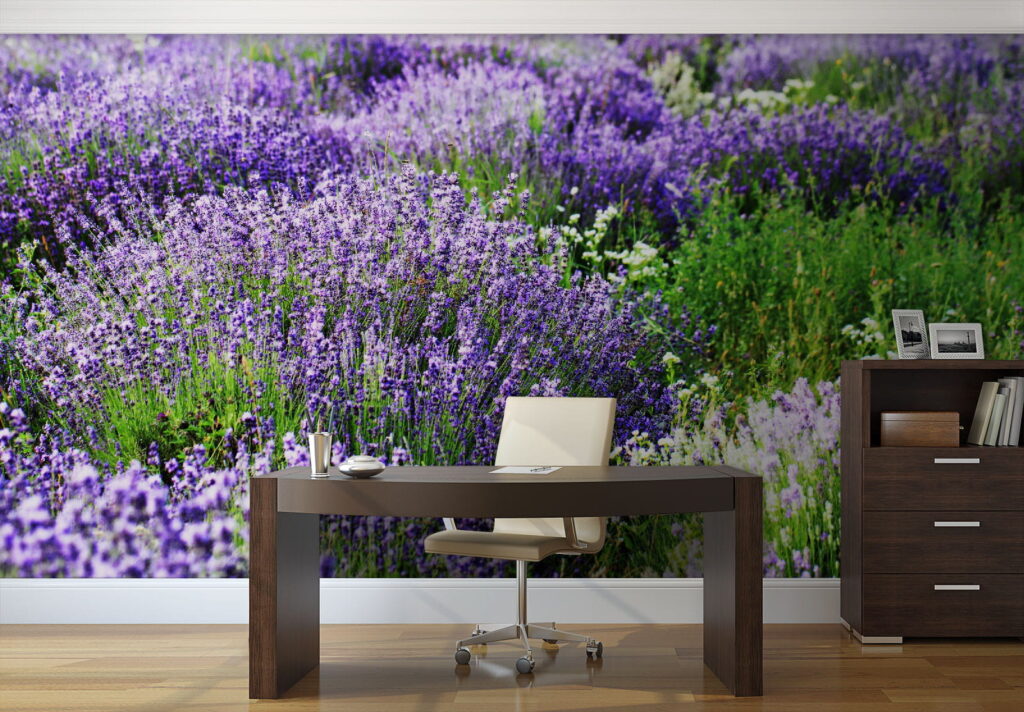 Lavendelplanten in golvende rijen — interieur 2