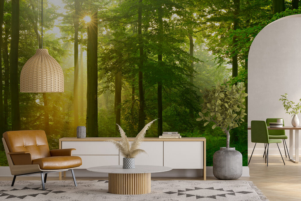 Gouden boslicht tussen stammen — interieur 6