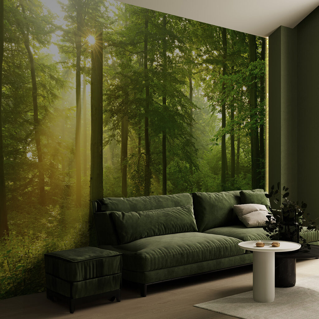 Gouden boslicht tussen stammen — interieur 5