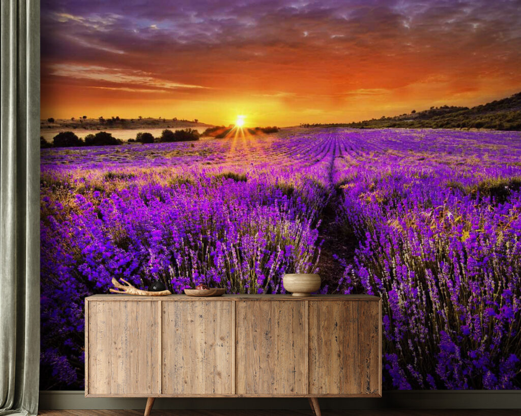 Lavendelveld onder oranje zon — interieur 1