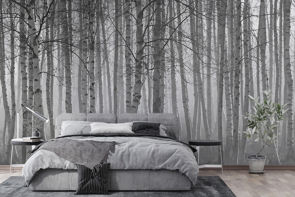 Berkenbos in zacht zwartwit — interieur 4