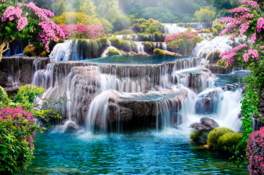 Waterval tussen roze heesters — volledig ontwerp