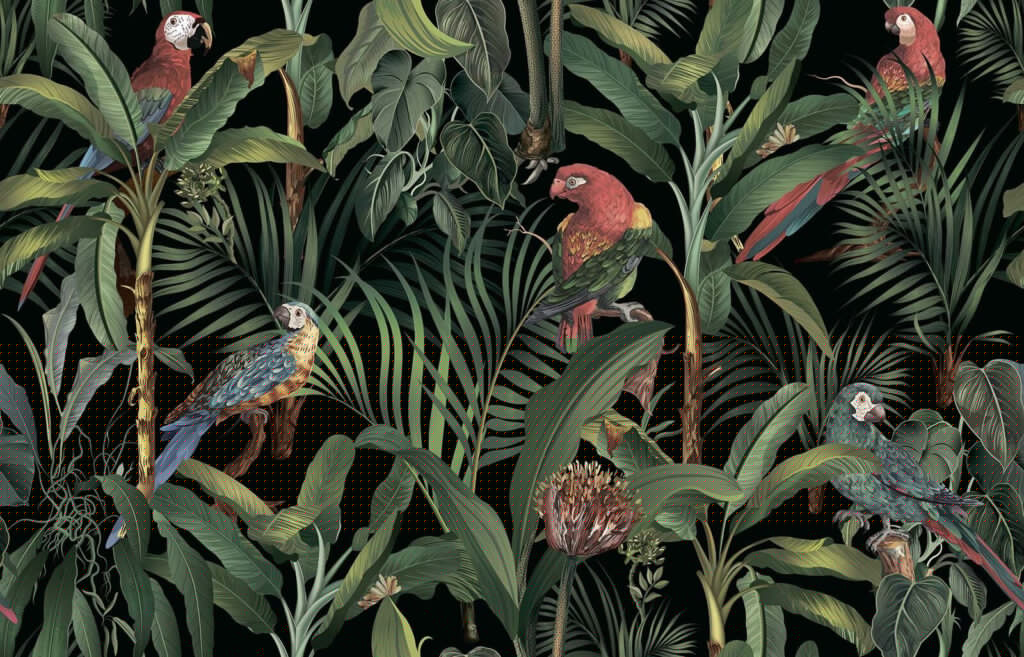 Papegaaien op donkere jungletakken — volledig ontwerp