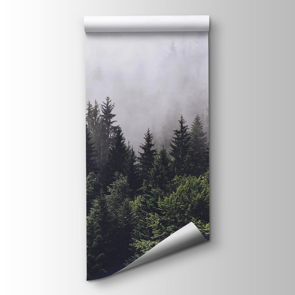 Nevel boven het bos — productweergave