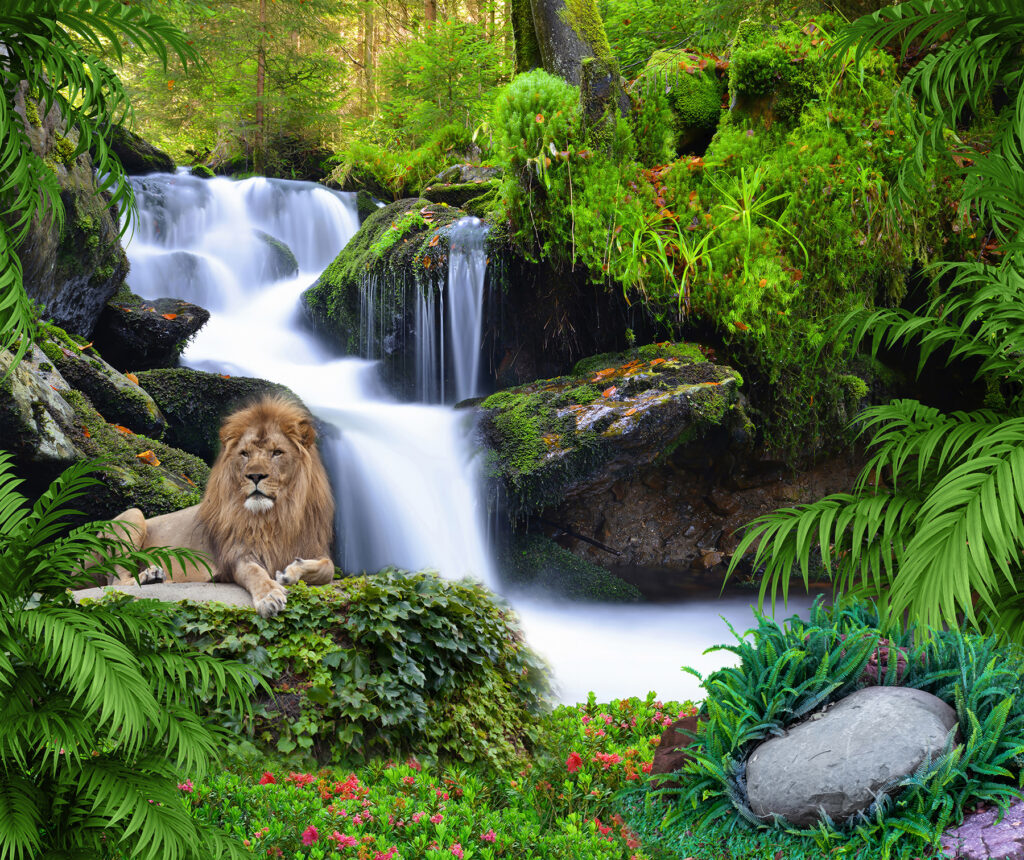 Leeuw voor een boswaterval — volledig ontwerp