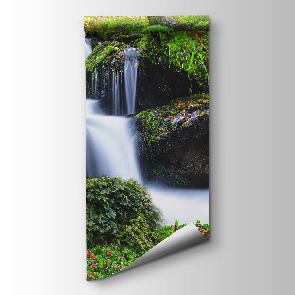 Leeuw voor een boswaterval — productweergave