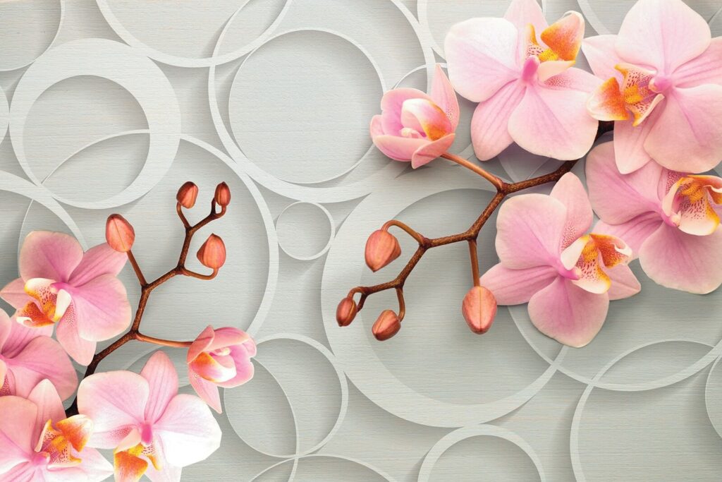 Roze orchidee tussen cirkels — volledig ontwerp