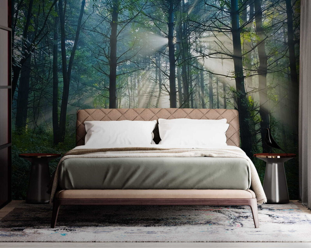 Zonnestralen over donker bospad — interieur 1
