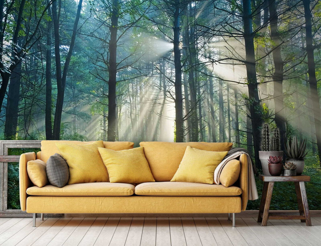 Zonnestralen over donker bospad — interieur 2