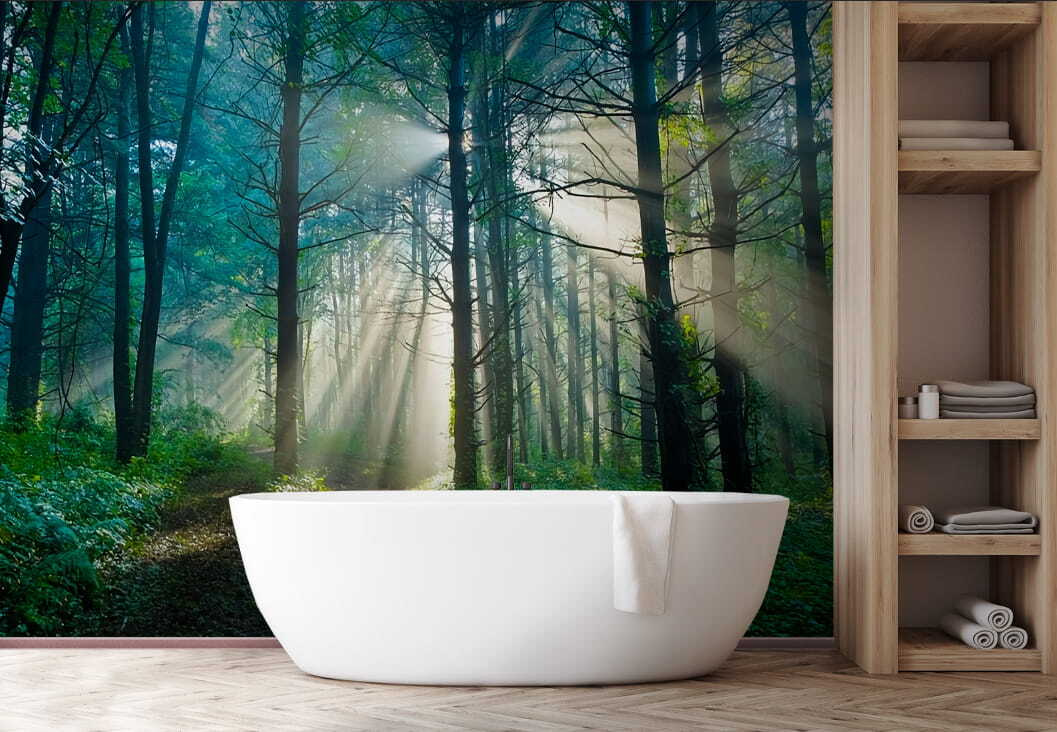 Zonnestralen over donker bospad — interieur 3