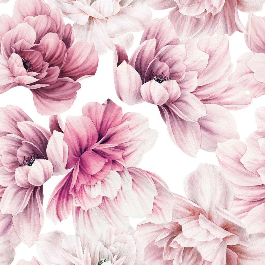 Roze dahlia's op wit — volledig ontwerp