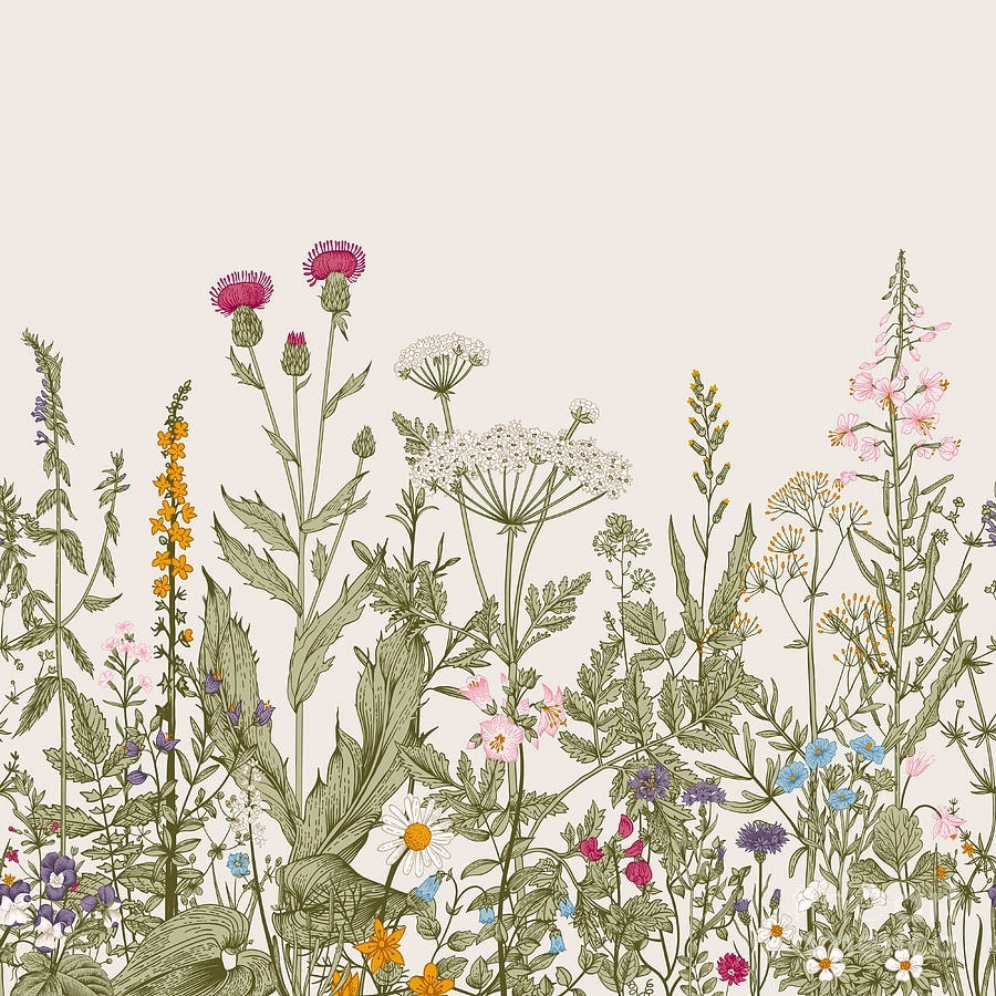 Veldbloemen onder roze lucht — volledig ontwerp