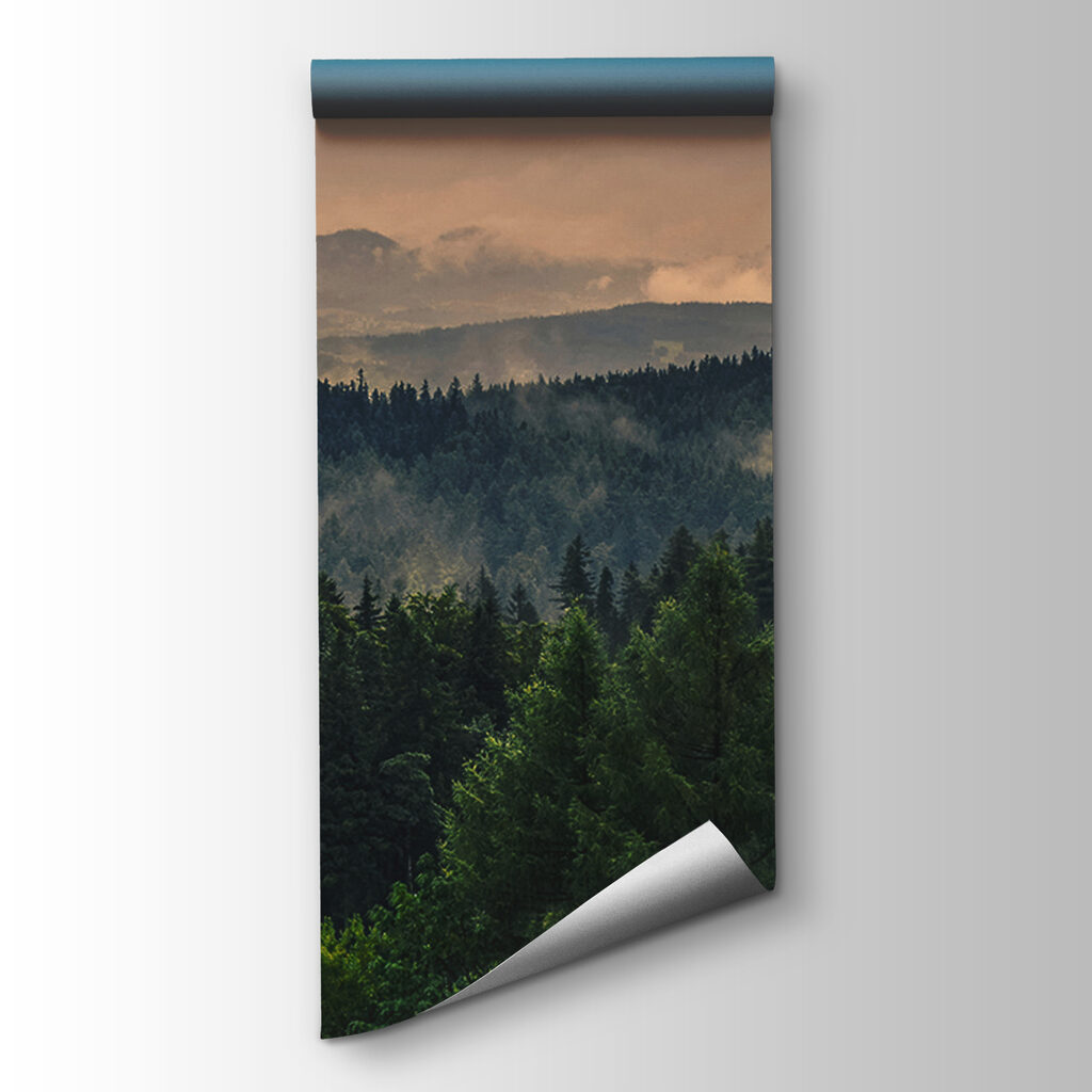 Laatste licht over dennenkruinen — productweergave