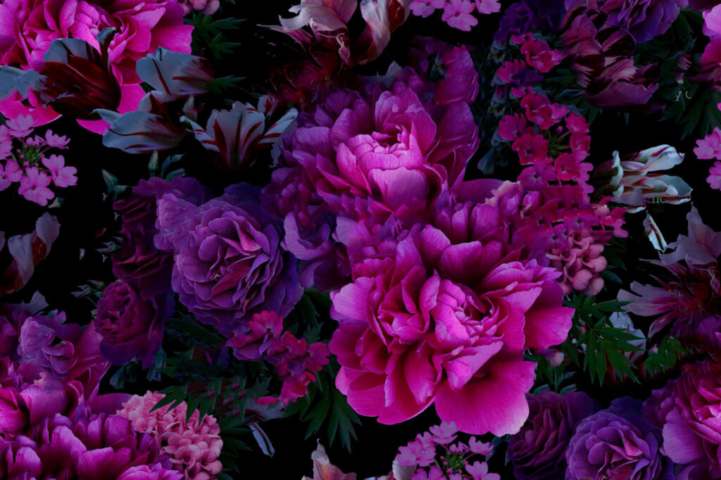 Paarse bloemen, diepe schaduw — volledig ontwerp